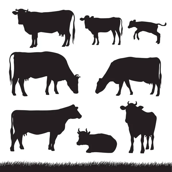 Cows and Grass Silhouettes — Stock Illustration Cows and Grass Silhouettes Royalty Free Stock Vectors