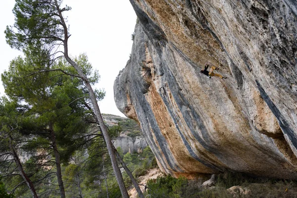 Arrampicata sportiva estrema. L'arrampicatore lotta per il successo. Stile di vita all'aperto. Avventura . — Foto Stock