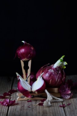 Kırmızı soğan. Taze organik sebze kadar kapatın. Bahar hasat sanat, tasarım. 