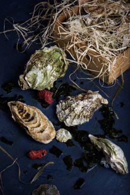 Deniz ürünleri üretmek, istiridye mezarda.