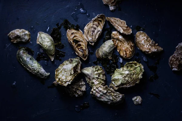 Oysters with seaweed on dark table. Copy space. — Stock Photo, Image