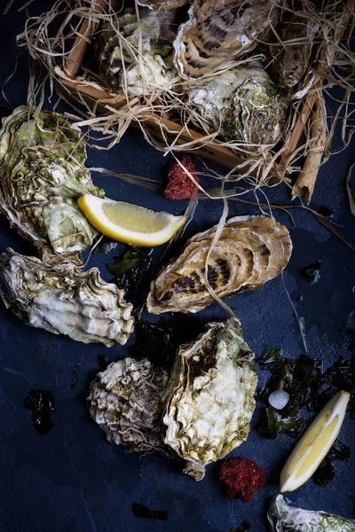 İstiridye mezarda limon ve deniz yosunu ile.