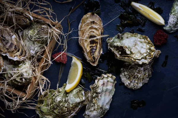 İstiridye mezarda. Deniz ürünleri üretmek üzerinde mavi arka plan. 