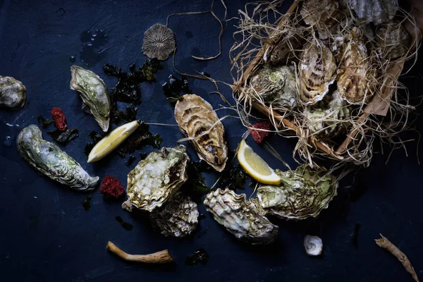 Mängd ostron med citroner i en trälåda. Ovanifrån. — Stockfoto