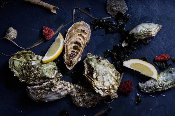 İstiridye, ürün yelpazesine yakından görünümü.