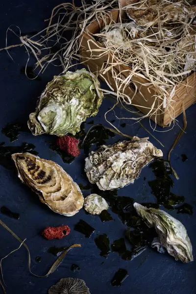 Deniz ürünleri üretmek, istiridye mezarda.