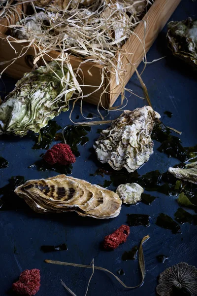 Disposición de ostras frescas en la encimera . — Foto de Stock