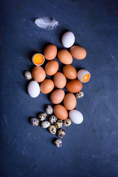 tüyler ve yumurta kabuğu ile yumurta ahşap bir masa üstünde tarz.