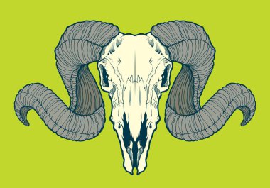 Kafatası RAM. İllüstrasyon