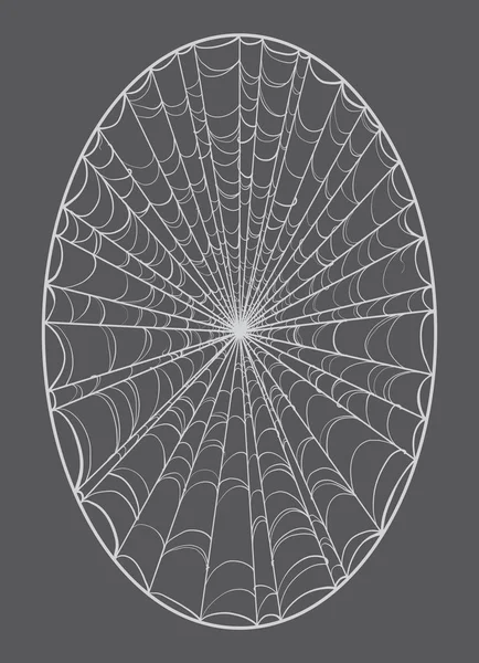 Spider web vector — Stockvector