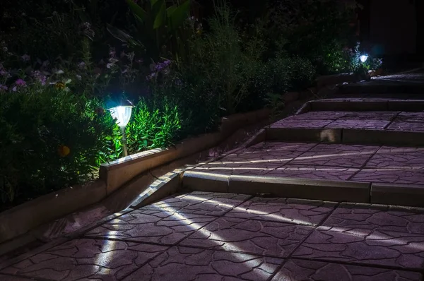 solar lanterns garden light with shrubs
