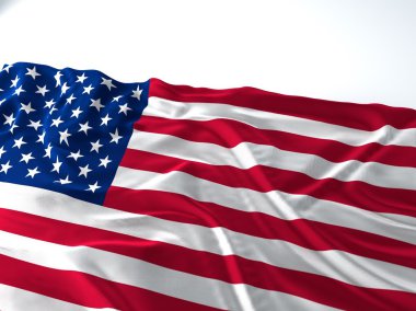 Amerika Birleşik Devletleri bayrağını sallayarak