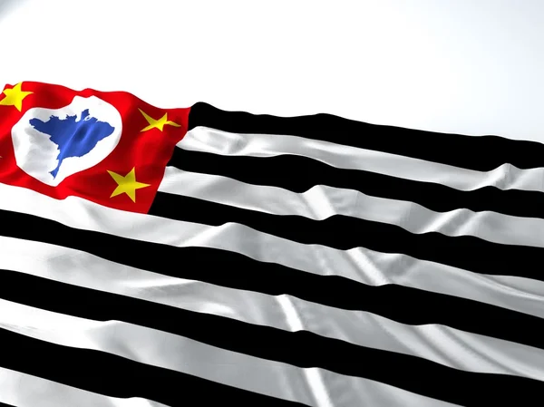 Sao paulo Devlet bayrağı sallayarak