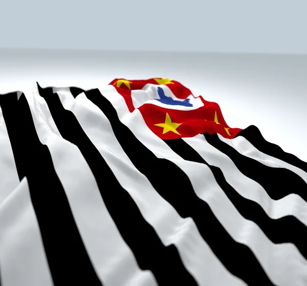 Acenando Bandeira do estado de são paulo — Fotografia de Stock