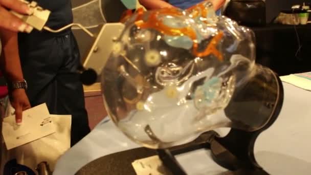 ORLANDO, FLORIDA: CIRCA GENNAIO 2017 - Una donna lavora su una testa di plastica traslucida — Video Stock