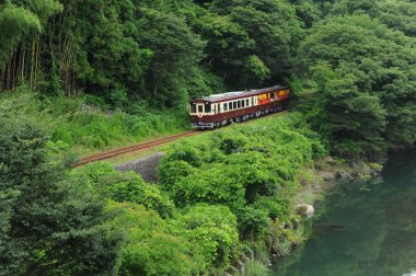 Trenin demiryolu yeşil ağaçlar arasında