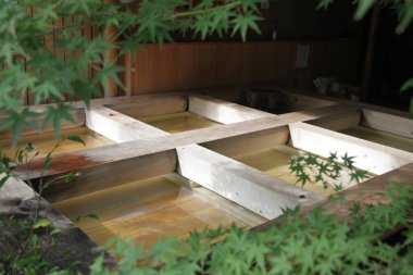 ahşap çerçeve Twining bitkiler ile çevrili