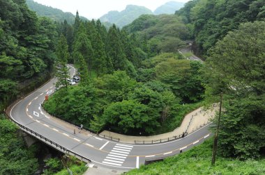 eğri yol yeşil ağaçlar arasında