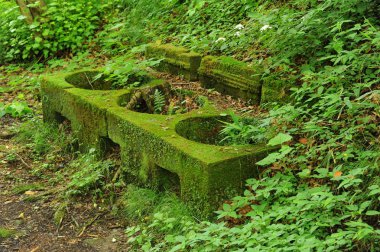 antik taş kalıntıların yosun kaplı