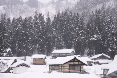 Japonya'da dua Köyü