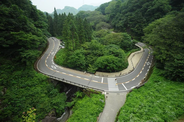 在绿树中的曲线道路 — 图库照片