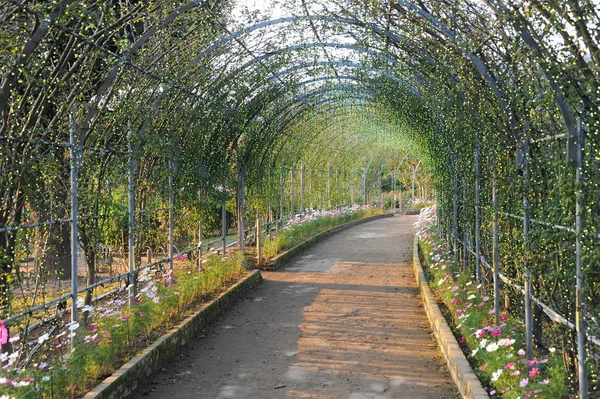 Tunnel of scramblers in garden — Stock Photo, Image