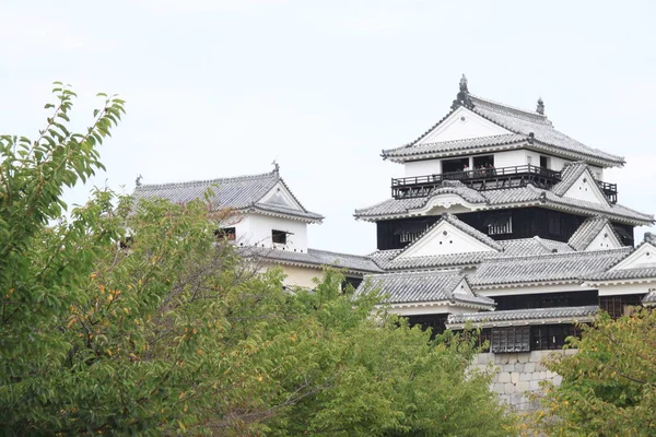 松山城堡长久以来，都在日本 — 图库照片