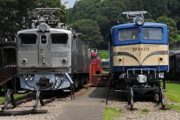 Vecchie locomotive contro alberi verdi — Foto Stock