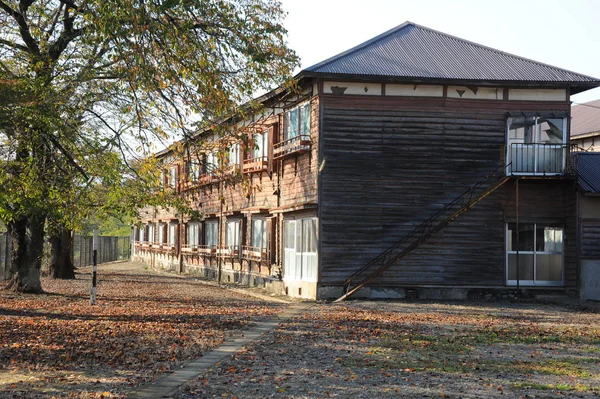 Autumn trees and wooden houses — Stock Photo, Image