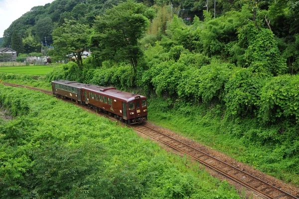 在绿树之间的铁路上的火车 — 图库照片