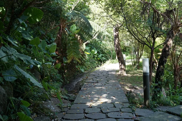 Dharma davul dağ Genel Müdürlük