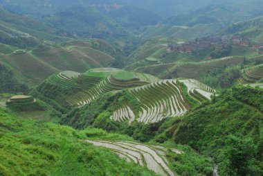 Guangxi eyaleti, Çin