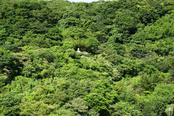 달마 드럼 산 본부 — 스톡 사진