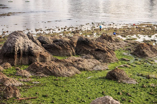 Enfants jouant près du lac — Photo