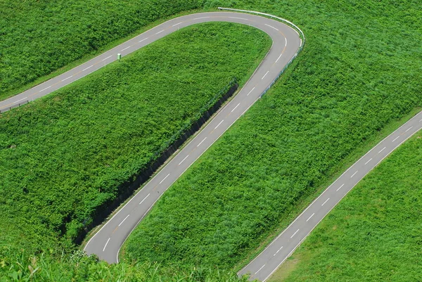 Strada su campo verde in montagna — Foto Stock