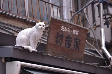 Dükkanı cephe ve işareti