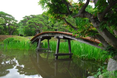 Merkezi Kültür Merkezi