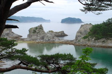 Manzara plaj manzarası