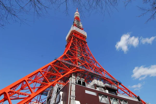 Tokyo demir Kulesi — Stok fotoğraf