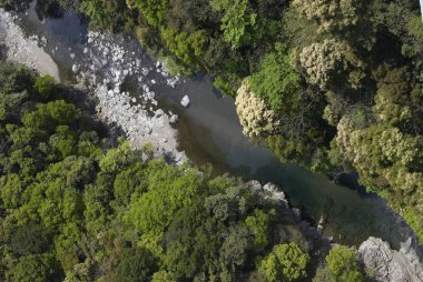 Dağlarda ormandaki nehir