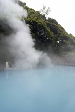 Japon geleneksel kaplıca