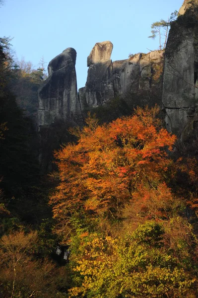 Beautiful japanese nature — Stock Photo, Image