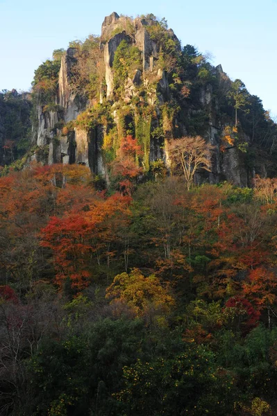 美丽的日本自然 — 图库照片