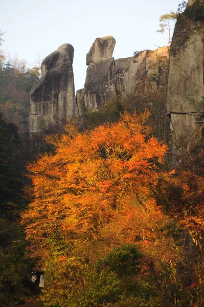 Beautiful japanese nature — Stock Photo, Image