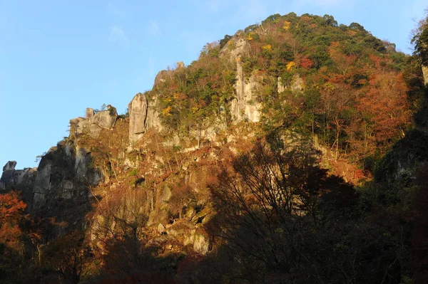 Beautiful japanese nature — Stock Photo, Image