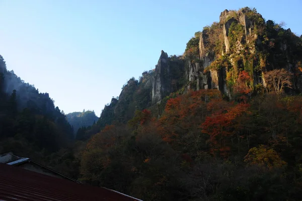 Beautiful japanese nature — Stock Photo, Image