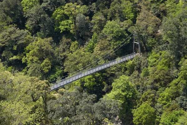 Pont suspendu en forêt — Photo