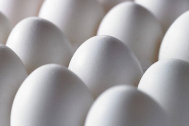 Taze yumurta arka plan