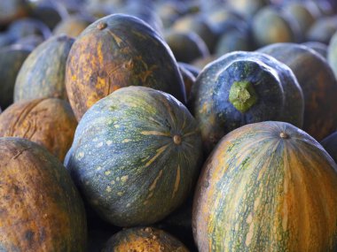 Pazarda çeşitli kabaklar 