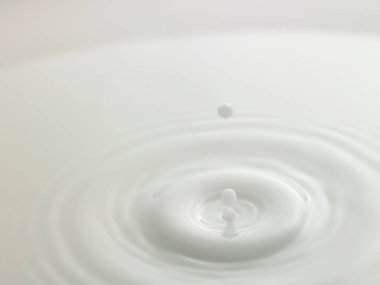 Taze süt dökülüyor